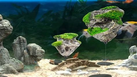 How to Make DIY Aquarium Rocks: A Step-by-Step Guide for Stunning Underwater Décor