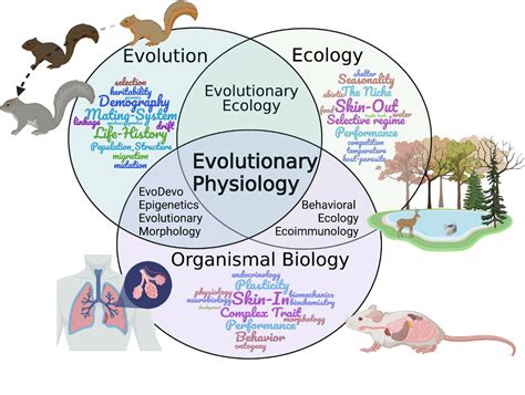 Evolutionary physiology at 30+: Has the promise been fulfilled ...