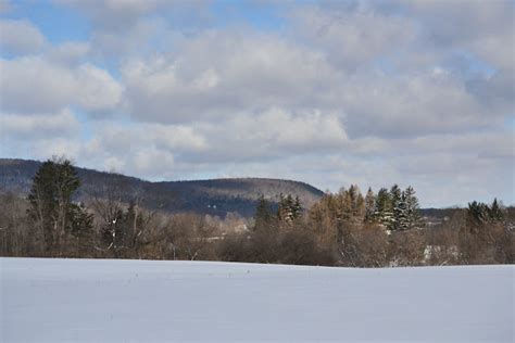 Woods Walks and Wildlife: March Snow!