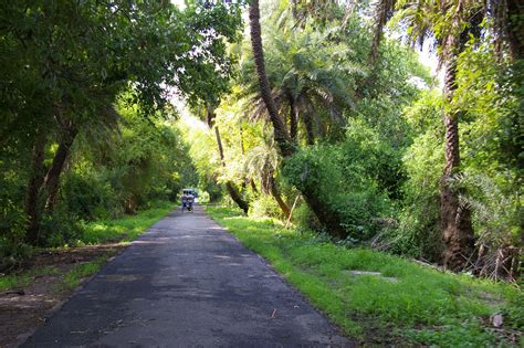 Keoladeo Ghana National Park, India | Guiné bissau, Ilhas comores, Tanzânia