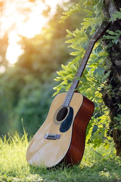 Premium Photo | Acoustic guitar outdoors on greenery background concept ...