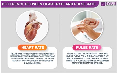 Difference Between Heart Rate and Pulse Rate are explained in detail