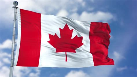 Canada Flag Animation - Stock Motion Graphics | Motion Array