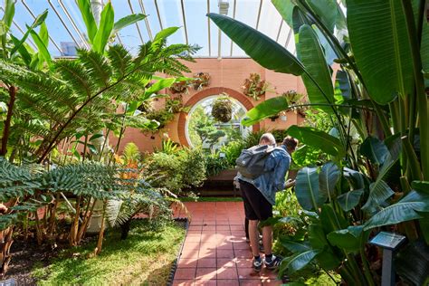 The Glasshouses - Birmingham Botanical Gardens