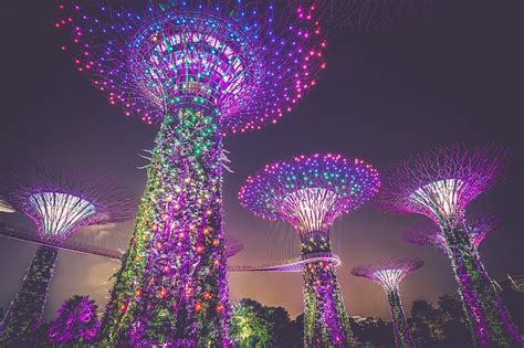 All You Need to Know About Nightlife Experiences in Singapore - tikichristikichris