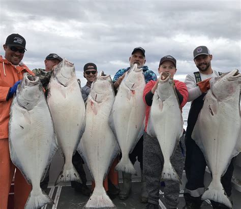 Halibut Charter Homer | Big Dans Fishing