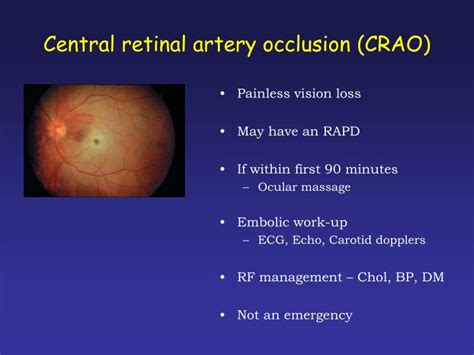 Retinal Artery Occlusion Symptoms