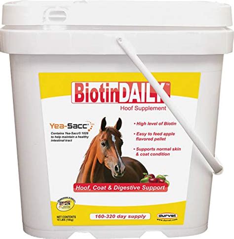 Top #10 Best Antihistamine For Horses in 2021 | Reviews by Experts