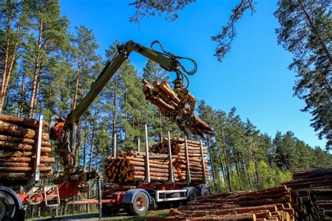 Crane Loading Logs in the Truck Stock Image - Image of logging, industry: 137941151