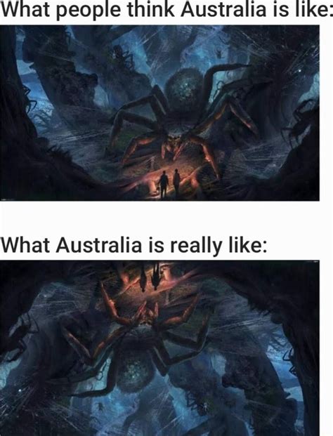 What people think Australia is like What Australia is really like: - iFunny