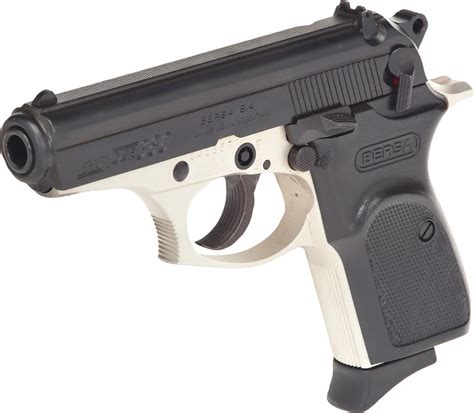 Bersa Thunder .380 Semiautomatic Pistol | Academy