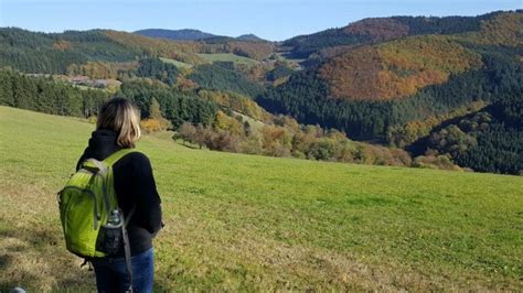 The Black Forest Trail (Germany) | Black Forest Tours