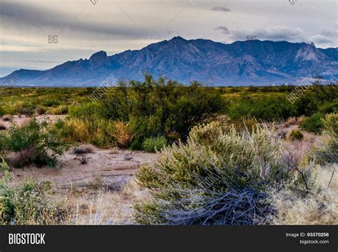 West Texas Landscape Image & Photo (Free Trial) | Bigstock