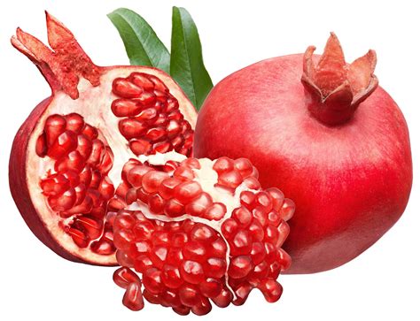 Pomegranate Clipart Images - art-vomitory