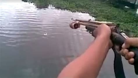 Video: This Mini Harpoon Gun Is Like Bowfishing On Steroids | OutdoorHub