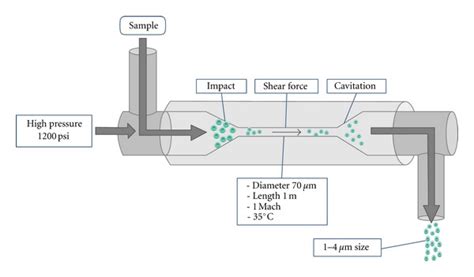 Homogenizer- Principle, Procedure, Parts, Types, Uses, Examples