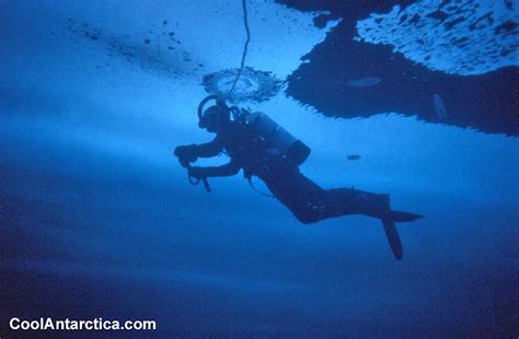 Thumbnails - Antarctic Ice Dive - Free use pictures of Antarctica