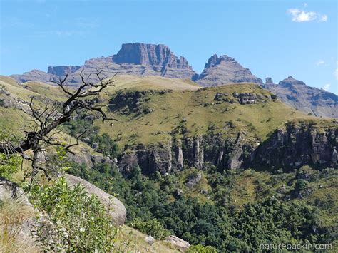 uKhahlamba-Drakensberg Park – letting nature back in