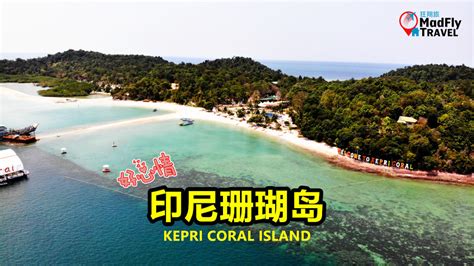 3D2N BATAM KEPRI CORAL ISALND - MadFly Travel 狂翔旅