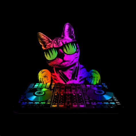 Cool Cat Dj | clingcling's artist shop | Dj art, Cat posters, Neon art