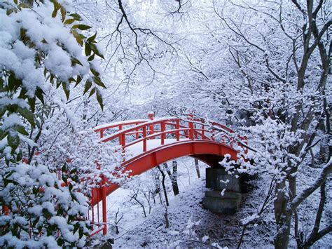 Photos Winter Nature Seasons