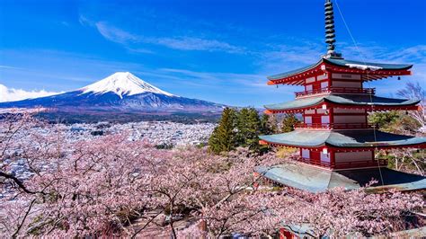 Yamanashi Prefecture | Nippon.com