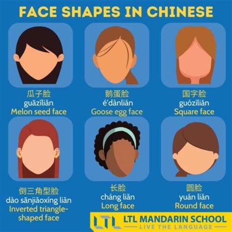 Chinese Face Shapes in Mandarin - LTL School