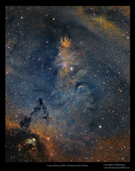 Astro Anarchy: Christmas Tree cluster, Cone and the Rosette Nebulae