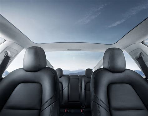 2025 Tesla Model 3: 79 Interior Photos | U.S. News