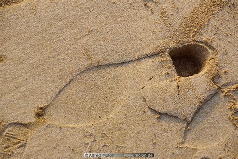 Photo of Shoe print in sand. Beaches, Qeshm island, Iran