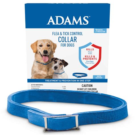 Will Flea Collars Kill Fleas On Dogs