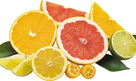 The Top 10 Evidence-Based Health Benefits of Citrus Fruits