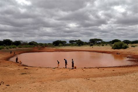 Drought in the Horn of Africa - World Hunger News