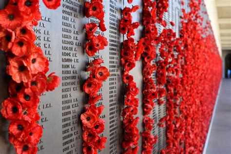 Download Poppy Wall Holiday Anzac Day 4k Ultra HD Wallpaper by gerard4170