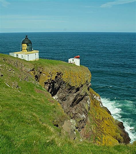 St Abbs for Seabird Spectacle - MUST SEE SCOTLAND