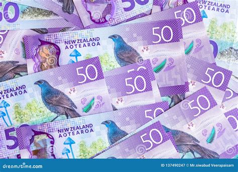 New Zealand Currency $50, New Zealand Dollar Banknotes Show Kokako Blue ...