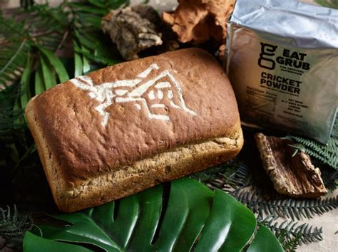 You can now buy insect bread – and each loaf is made with 336 crickets ...