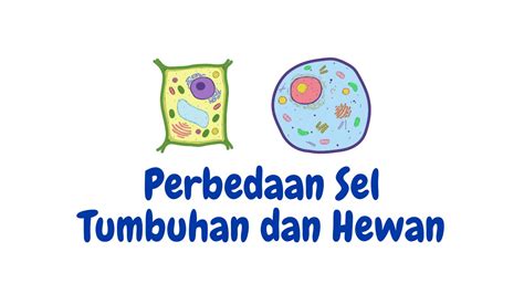 7 Perbedaan Sel Tumbuhan dan Sel Hewan - Fakultas Pertanian