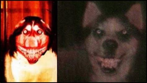 Who's Smile Dog? - The Scary Story Behind The Creepypasta - Mundo Seriex