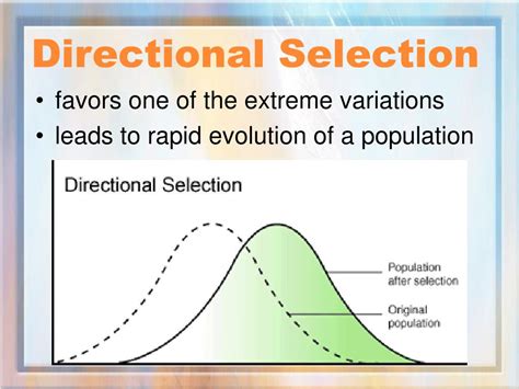 PPT - Natural Selection and Speciation PowerPoint Presentation, free download - ID:4158534