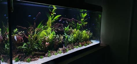 Most Beautiful Freshwater Tanks ( All Time )