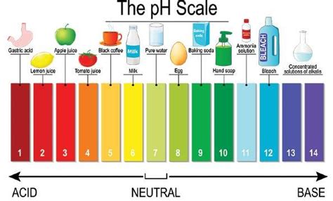 Acid or Alkaline? What pH means for your soil - My Garden