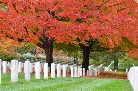 The Fascinating Origin of Arlington National Cemetery