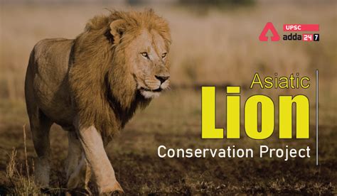 Asiatic Lion Conservation Project