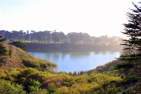 Cozy and quaint, Lake Merced Park is just SW of downtown San Francisco. Californian, A Perfect ...