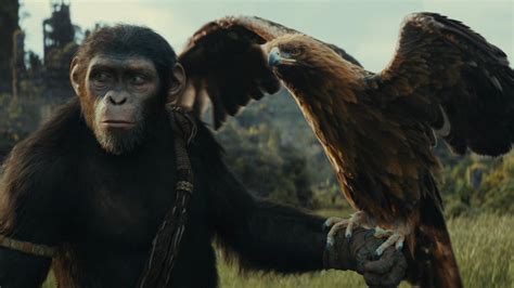 Kingdom of the Planet of the Apes | GamesRadar+