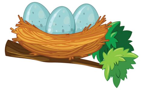 Vector Easter Tree With Eggs Eggs Nest Illustration Vector, Eggs, Nest, Illustration PNG and ...