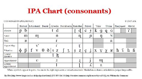 IPA Consonant Chart