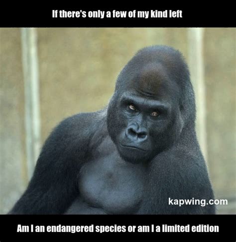 Endangered Animals Meme – Save The Endangered Animals