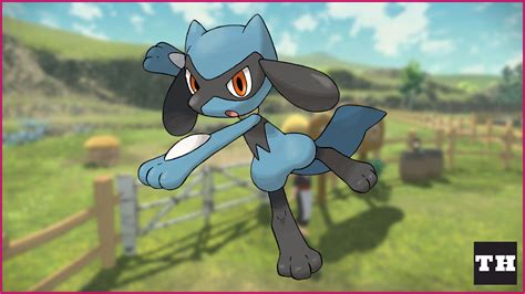 Where to find Riolu in Pokemon Legends Arceus – Locations! - Try Hard ...